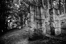 PetrovFarniAutobusovaPoutOrlickoZari2013_013