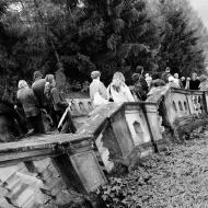 Zpátky do autobusu na řízky