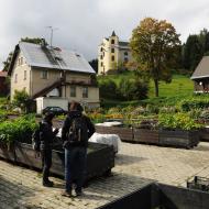 Ženy si prohlíží rostliny