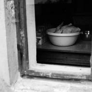 Co vidíš? Kuře. Tak vidíš!