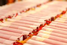 CoZbyloPoVikendech2013_003