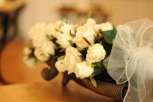 CoZbyloPoVikendech2013_005