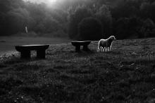 CoZbyloPoVikendech2013_007