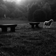 CoZbyloPoVikendech2013_007