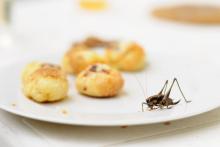 CoZbyloPoVikendech2013_013