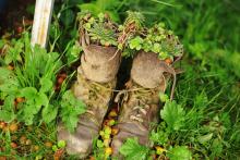 CoZbyloPoVikendech2013_014