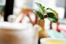 CoZbyloPoVikendech2013_020