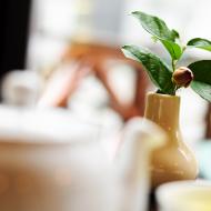 CoZbyloPoVikendech2013_020