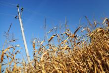 CoZbyloPoVikendech2013_027