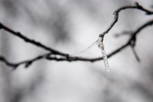 CoZbyloPoVikendech2013_043