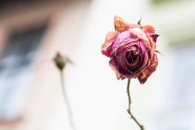 CoZbyloPoVikendech2013_048