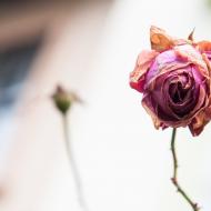 CoZbyloPoVikendech2013_048