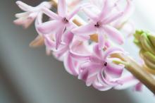 CoZbyloPoVikendech2013_049