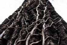 CoZbyloPoVikendech2013_050