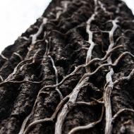 CoZbyloPoVikendech2013_050