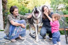 Tento pejsek se jmenuje Max a vlkovi je opravdu jen podobný