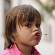 FarniGrilovani_Cerven2013_001