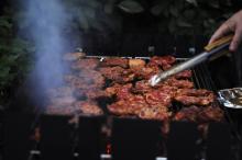 FarniGrilovani_Cerven2013_005