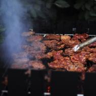 FarniGrilovani_Cerven2013_005