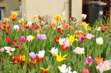 FarniPoutNaVelehradKveten2013_019