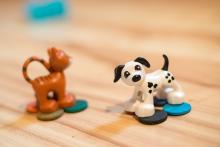 Hrají si i pejsek s kočičkou