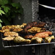 PetrovGrilovaniBirmovancuKveten2013_005