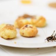 KrestVitkaZari2013_012