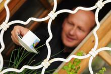 KrestVitkaZari2013_018