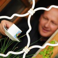 KrestVitkaZari2013_018