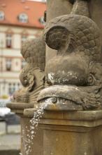 Ryba na náměstí v České Lípě