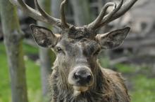 Jeden z testů nového objektivu, bokeh celkem slušný, ne? :-)