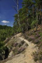 Nad Martinskou stěnou