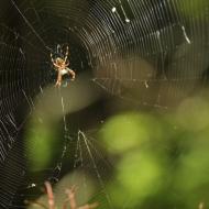 Umí tu někdo látat?