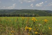 Krušné hory - u Křimova