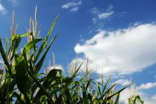 LetniDovolena2013_OkoloBrna_009