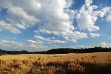 LetniDovolena2013_OkoloBrna_010