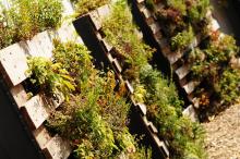 LetniDovolena2013_OkoloBrna_027