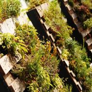 LetniDovolena2013_OkoloBrna_027