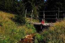 LetniDovolena2013_SeverniCechy_010