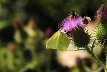 LetniDovolena2013_SeverniCechy_013