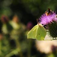 LetniDovolena2013_SeverniCechy_013