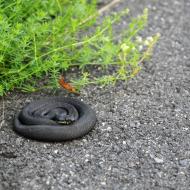 LetniDovolena2013_SeverniCechy_027