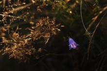 LetniDovolena2013_SeverniCechy_032