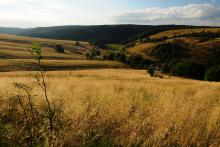 LetniDovolena2013_SeverniCechy_033