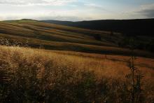 LetniDovolena2013_SeverniCechy_034