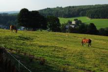 LetniDovolena2013_SeverniCechy_037