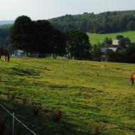 LetniDovolena2013_SeverniCechy_037