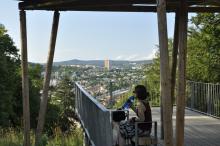 Léto v Brně 2011 013