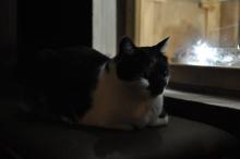 MakroSrazPrahaRijen2010_020