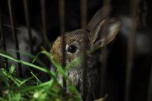 Ještě netuší, co ho čeká